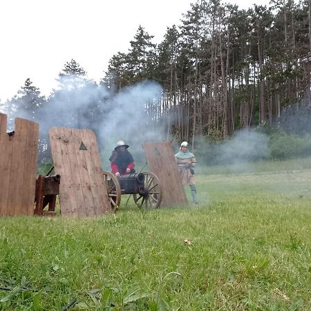Penzion Litohlavy 17 - Na Samote U Lesa Králŭv Dvŭr Buitenkant foto