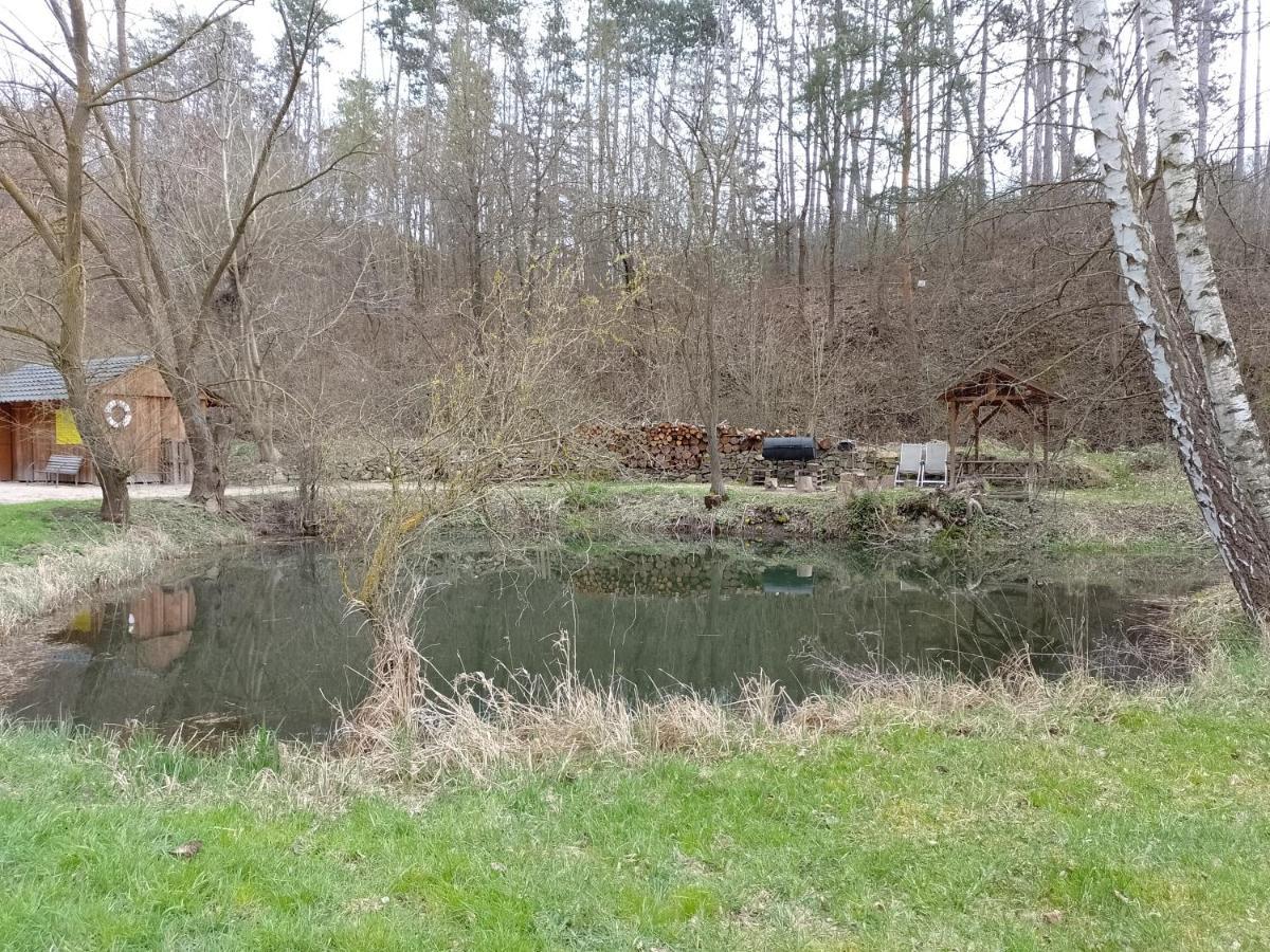 Penzion Litohlavy 17 - Na Samote U Lesa Králŭv Dvŭr Buitenkant foto