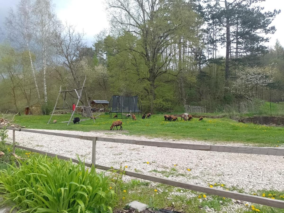Penzion Litohlavy 17 - Na Samote U Lesa Králŭv Dvŭr Buitenkant foto