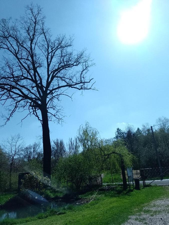 Penzion Litohlavy 17 - Na Samote U Lesa Králŭv Dvŭr Buitenkant foto