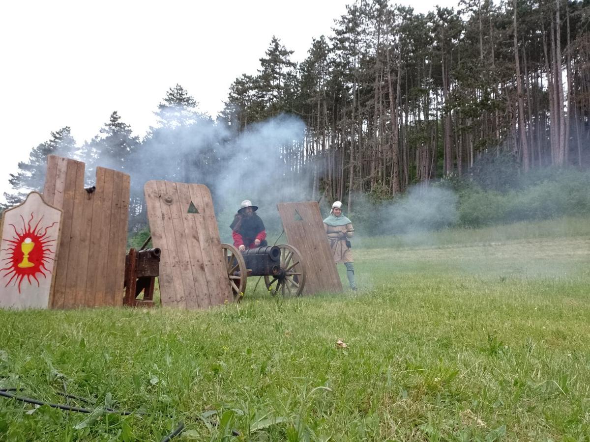 Penzion Litohlavy 17 - Na Samote U Lesa Králŭv Dvŭr Buitenkant foto